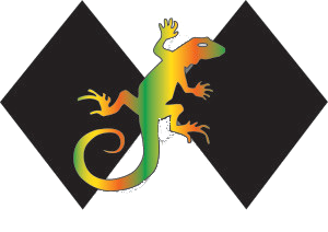DDLA logo